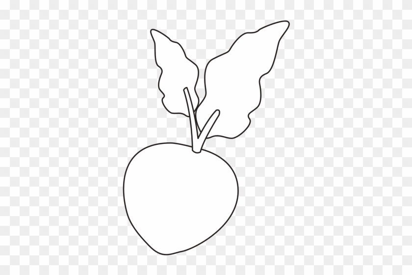 Beetroot Fresh Raw Vegetable - Silhouette #1027630