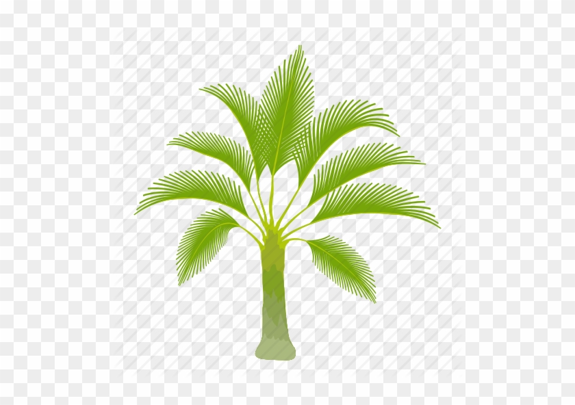 Palm Trees Cartoon - Palm Oil Tree Icon #1027661