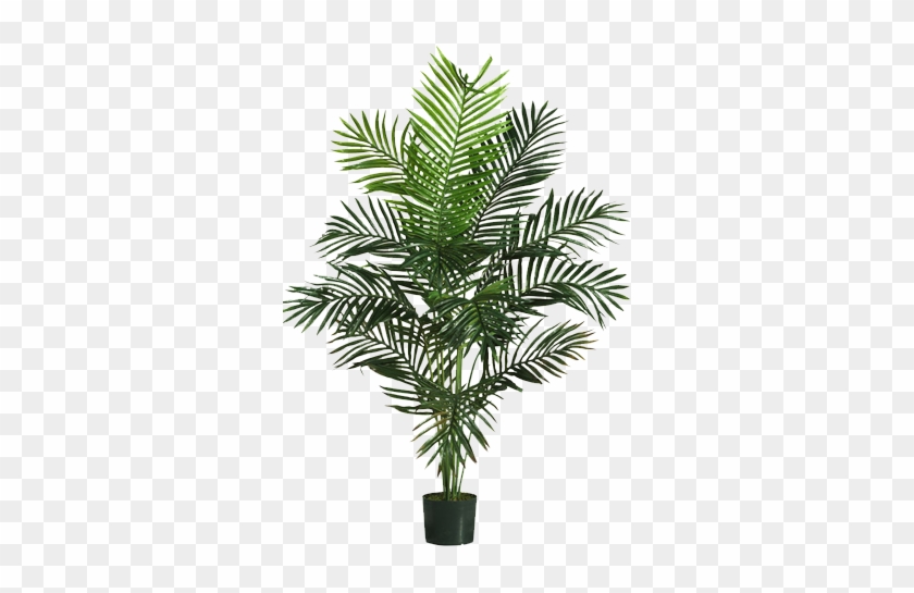Beachcrest Home Black Hammock Palm Tree With Pot Decorist - Fake Palm Trees #1027686
