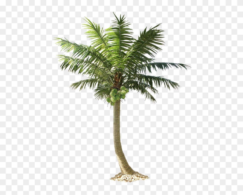 Artificial Palm Tree In Stock - Small Palm Tree Png #1027693