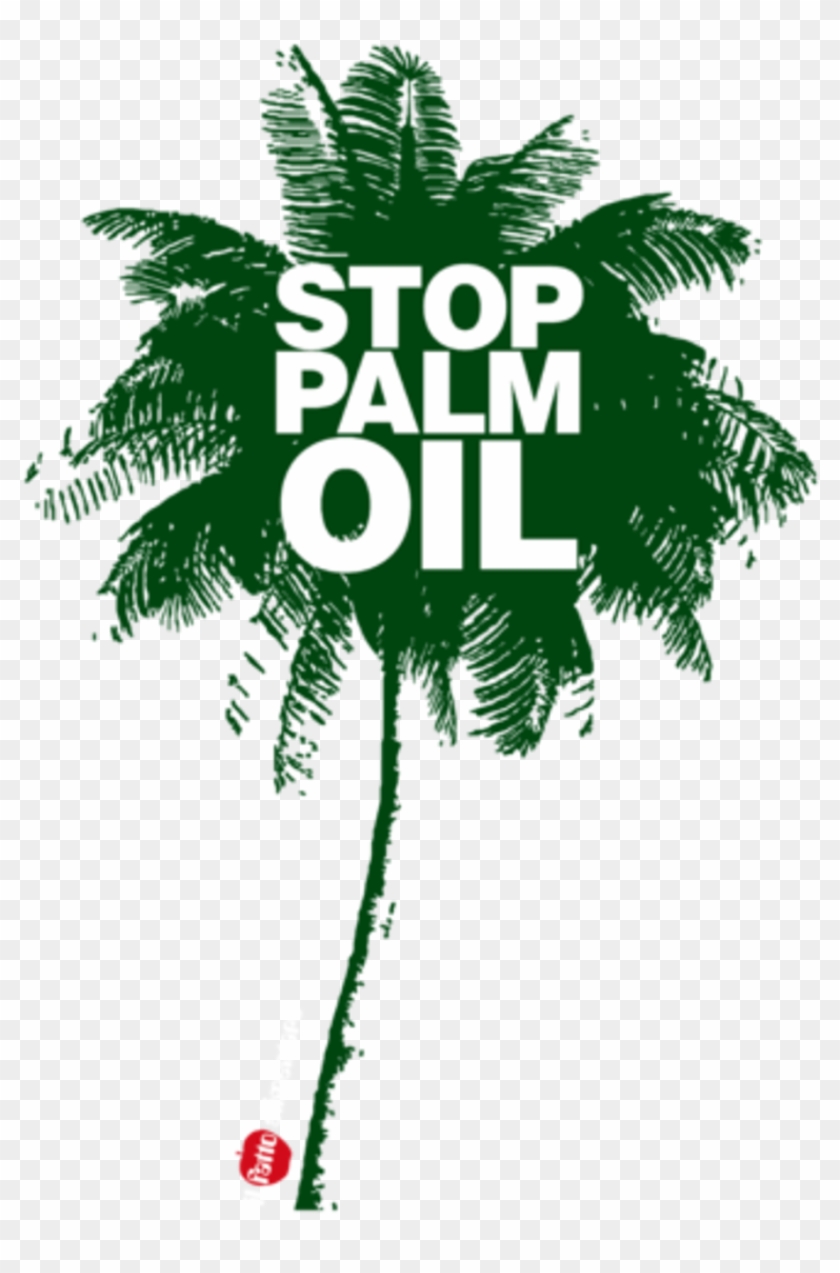 The Gallery For > Palm Oil Tree Png Palm Oil Tree Png - Stop The Palm Oil #1027702