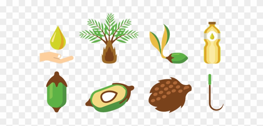 Fruit Arecaceae Palm Oil Illustration - Buah Kelapa Sawit Vector #1027710