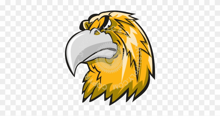 Cool Hawk Head At Angle Cool Hawk Head At Angle Free Transparent Png Clipart Images Download - help me tv head object head roblox
