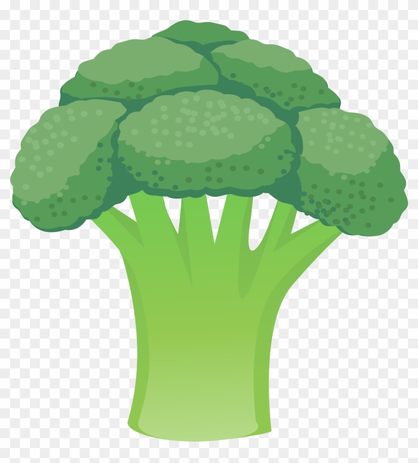 Cauliflower Vegetable Broccoli - Cauliflower Vegetable Broccoli #1027725