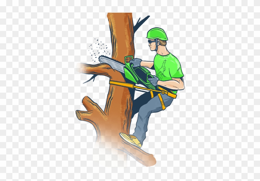 Clipart For Tree Trimming & Clip Art For Tree Trimming - Tree Trimming Cartoon #1027789