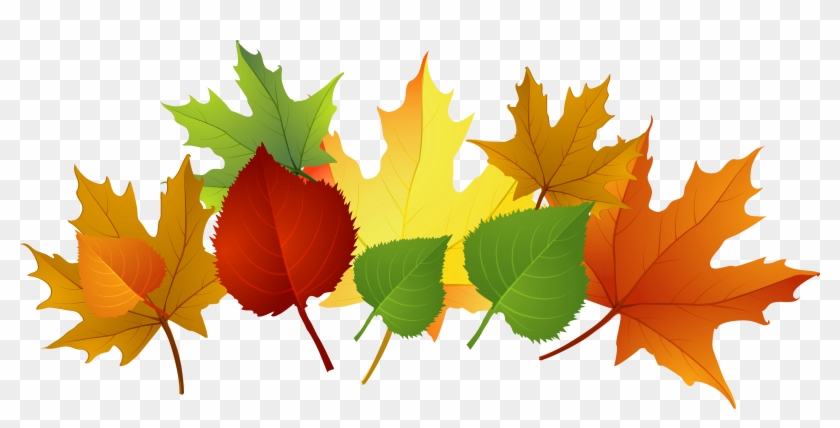 Fall Leaf Clip Art Free Cliparts That You Can Download - Clip Art #1027840