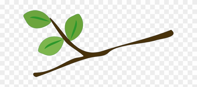 Vector Gratis Rbol Rama Hojas Verde Ramas Imagen Ramas - La Rama De Un Arbol #1027938
