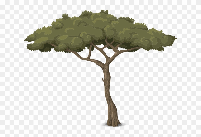 Go To Image - Leaf #1028122