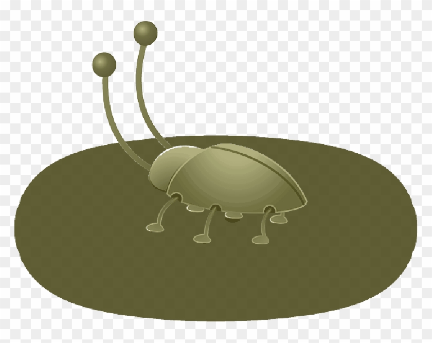Green, Cartoon, Shadow, Antenna, Bug, Insect, Animal - Illustration #1028136
