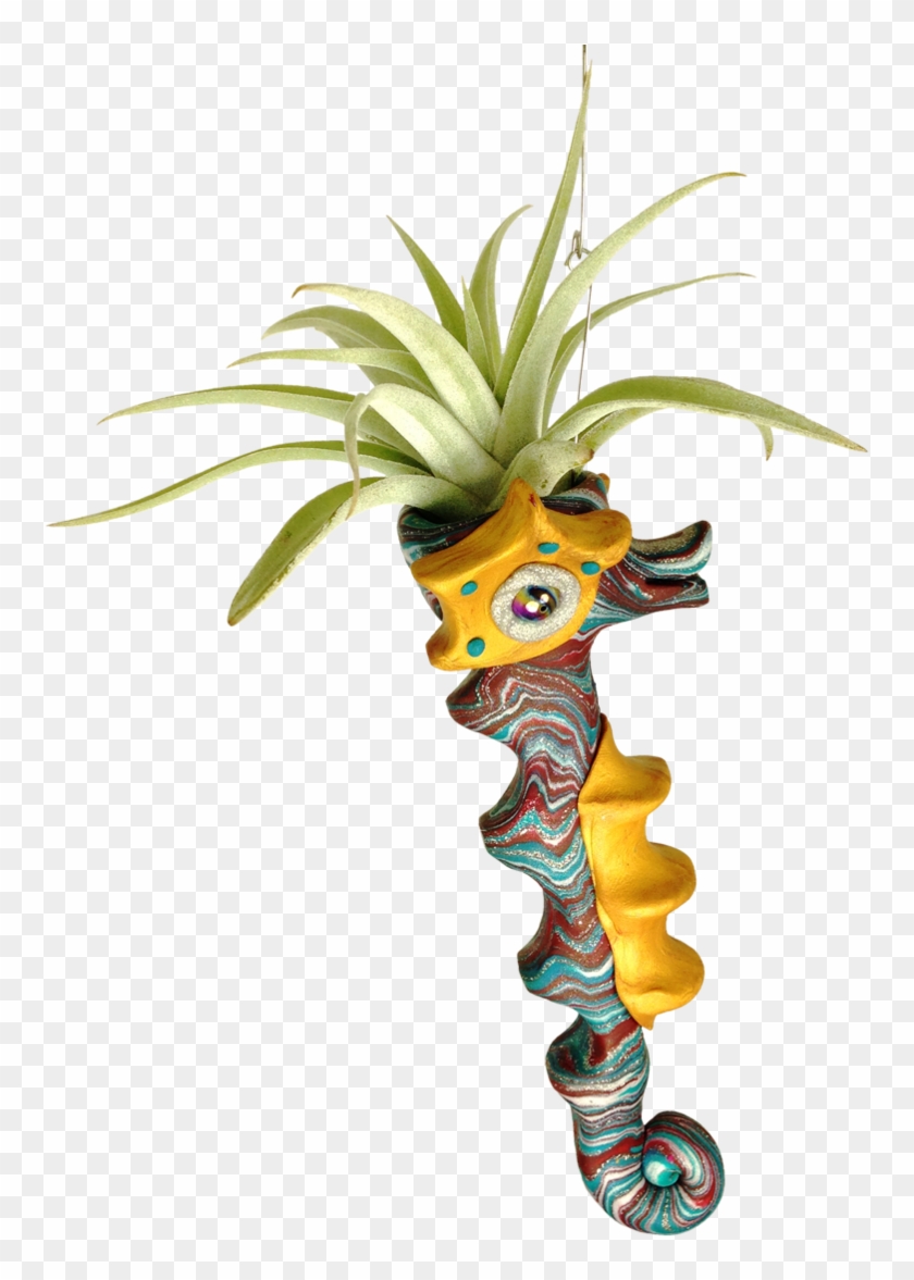 Julia's Florist Download - North Carolina #1028191