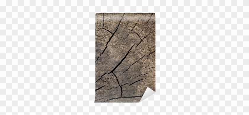 Plank #1028294