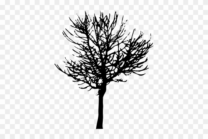 Tree Silhouette Free Download Transparent Png Images - Tree Silhouette Transparent Background #1028299