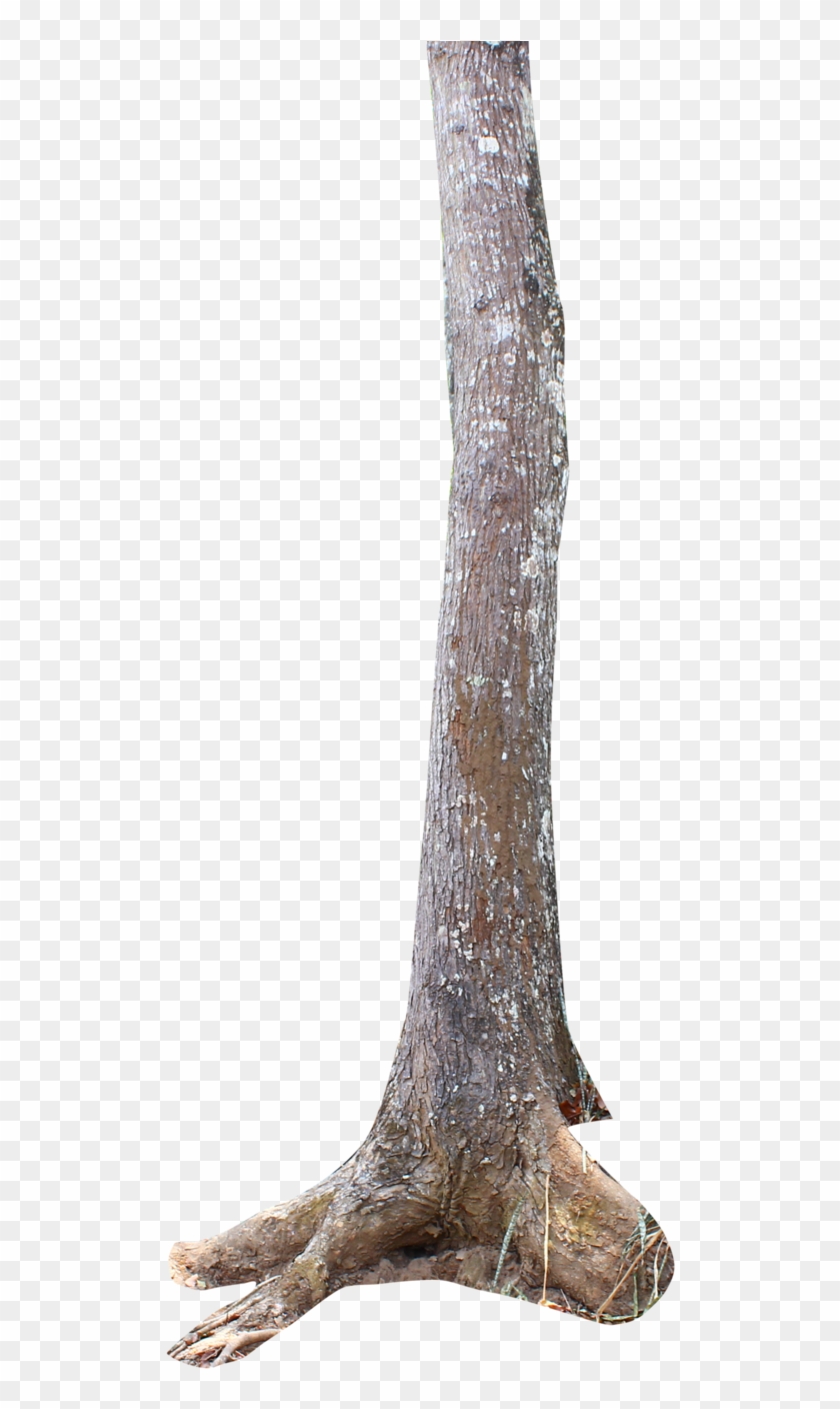 Tree Trunk Png By Andhikazanuar - Tree Trunk Png Hd #1028304