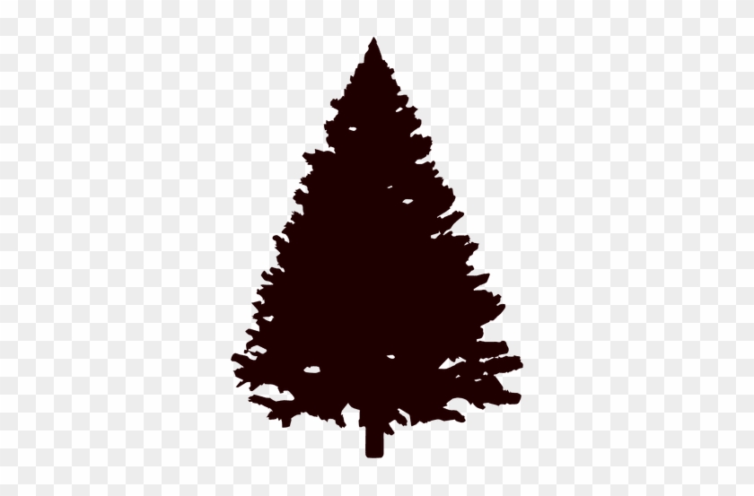 Mountain Pine Tree Silhouette - White Spruce Svg Download #1028391