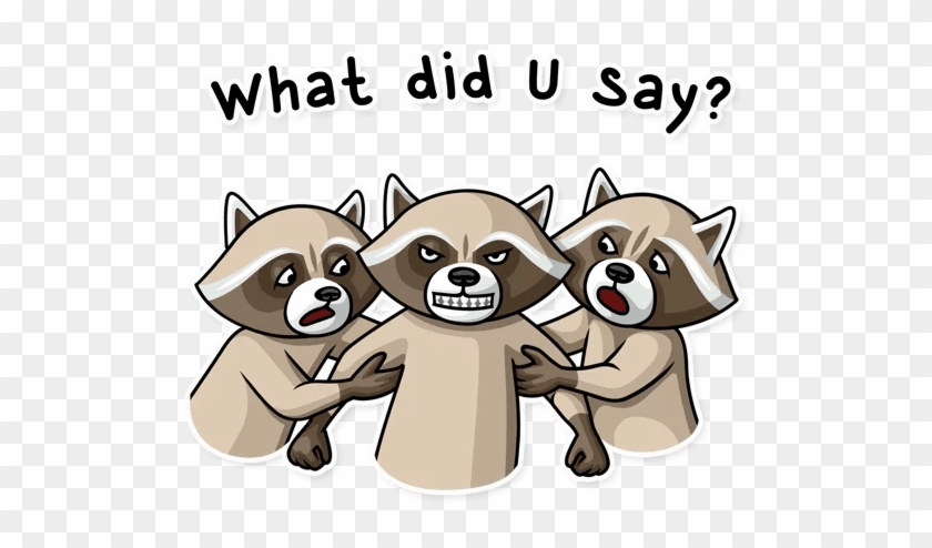 Transparent Png Sticker - Raccoons #1028704