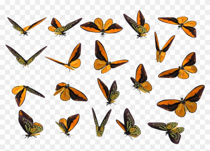 More Like Realistic Aggron By Phill-art - Lycaena #1028848