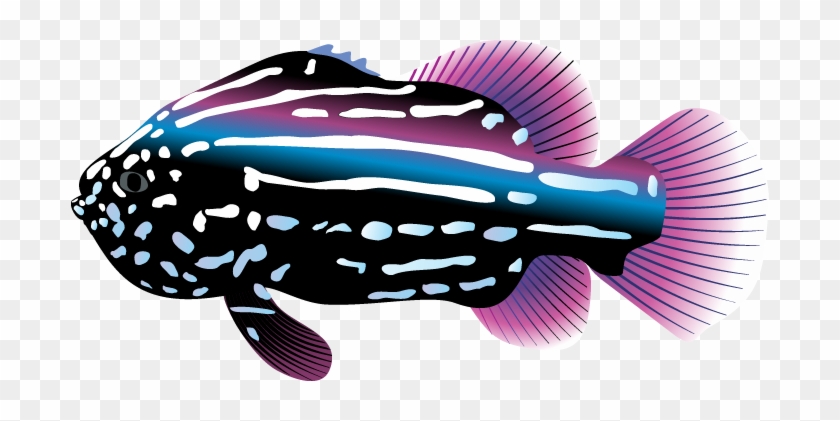 Goldfish Fish Tank Free Vector Graphic On Pixabay - Tropical Fish Clip Art #1028856