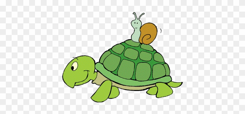 Tortoise Vs Snail Speed Race - Toto Turtle Time To Tuck And Think #1028865