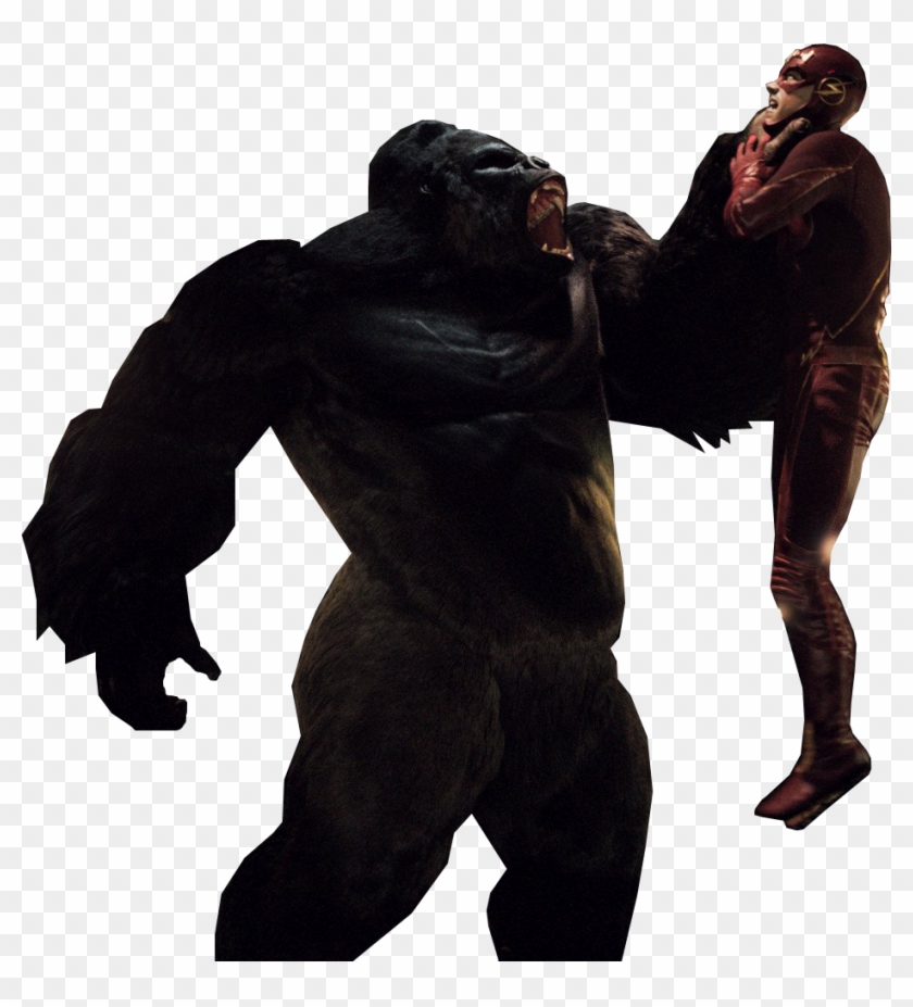 Flash V Grodd Png By Buffy2ville Flash V Grodd Png - Gorilla Grodd The Flash Png #1028964