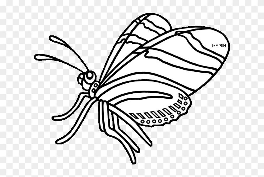 Butterfly Clipart Zebra - Zebra Longwing Butterfly Drawing #1029006