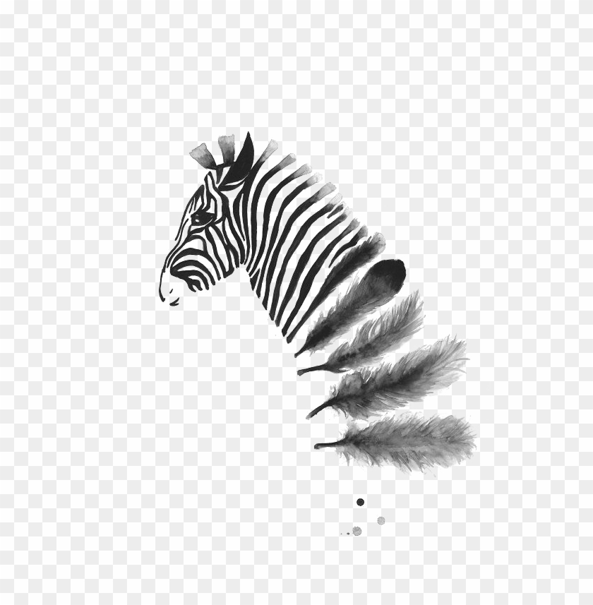 Zebra Ink Wash Into Feathers Pinned By Issy Wilson - Cool Black And White Poster #1029020