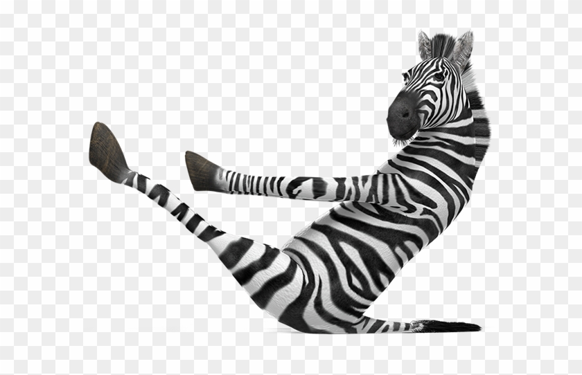 Zebra Sarasa - Zebra Pen Mascot #1029090