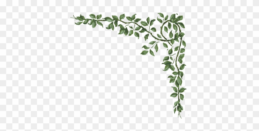 Free Printables - Cornici Foglie Png #1029269