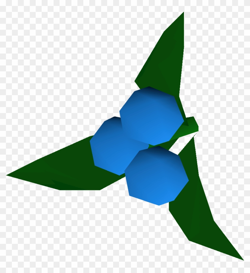 Dwellberries Detail - Old School Runescape #1029394