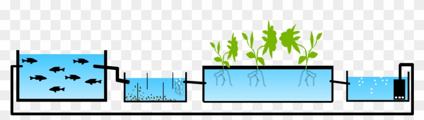 Starter Plants Take - Aquaponic Greenhouse Design #1029637