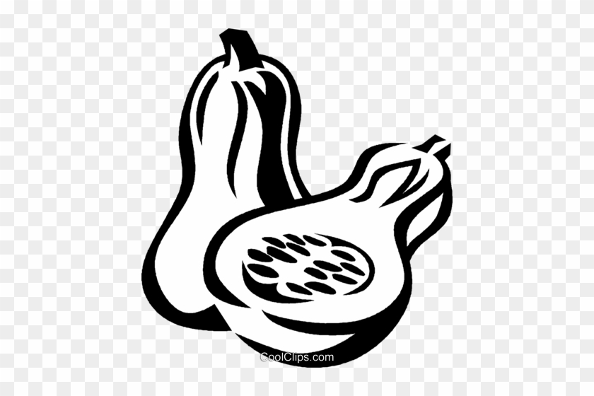 Butternut Squash Royalty Free Vector Clip Art Illustration - Butternut Squash Black And White #1029835