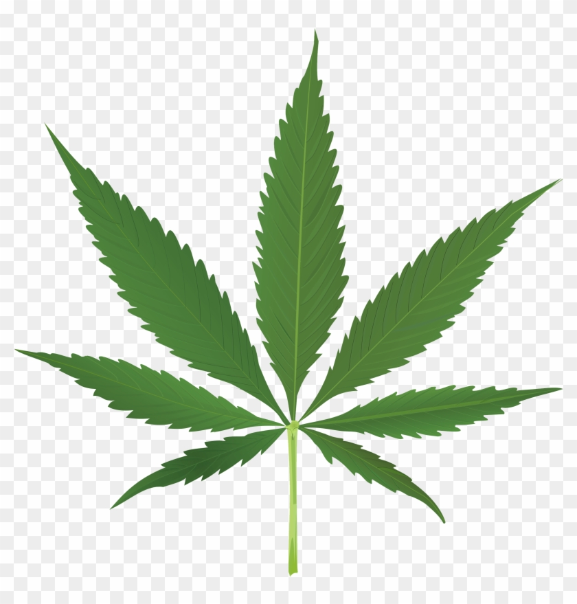 Pot Leaf Clipart No Background - Cannabis Leaf #1029887