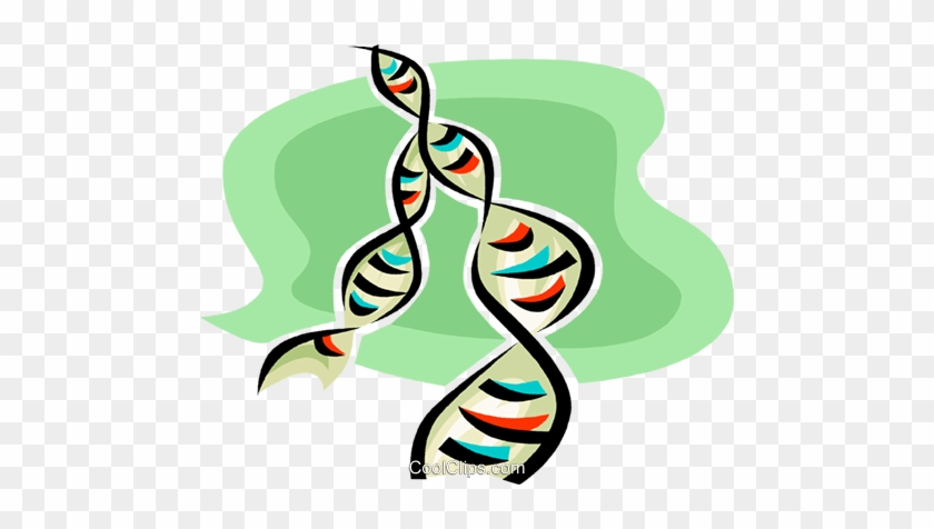 Dna Royalty Free Vector Clip Art Illustration - Graphic Design #1029942