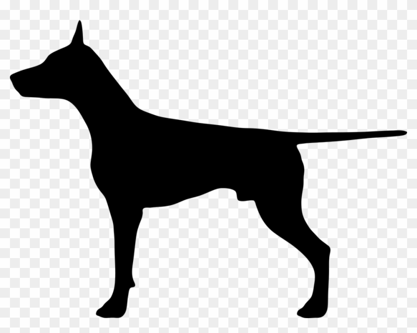 Animal - Doberman Silhouette Png #1030096