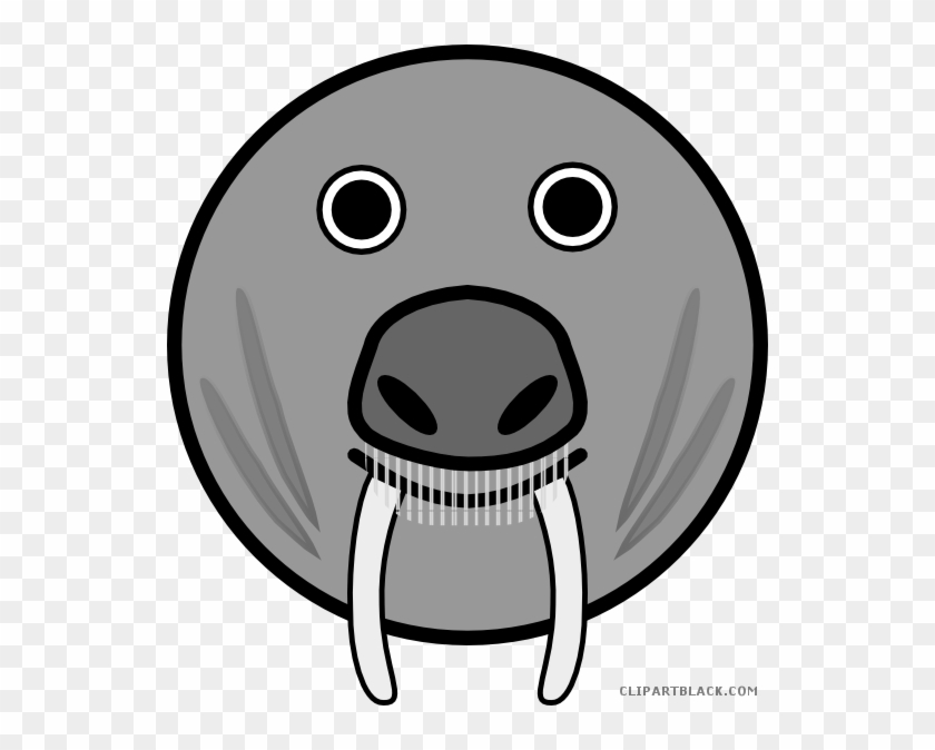 Seal Animal Free Black White Clipart Images Clipartblack - Animal Rounded Clipart Face #1030169