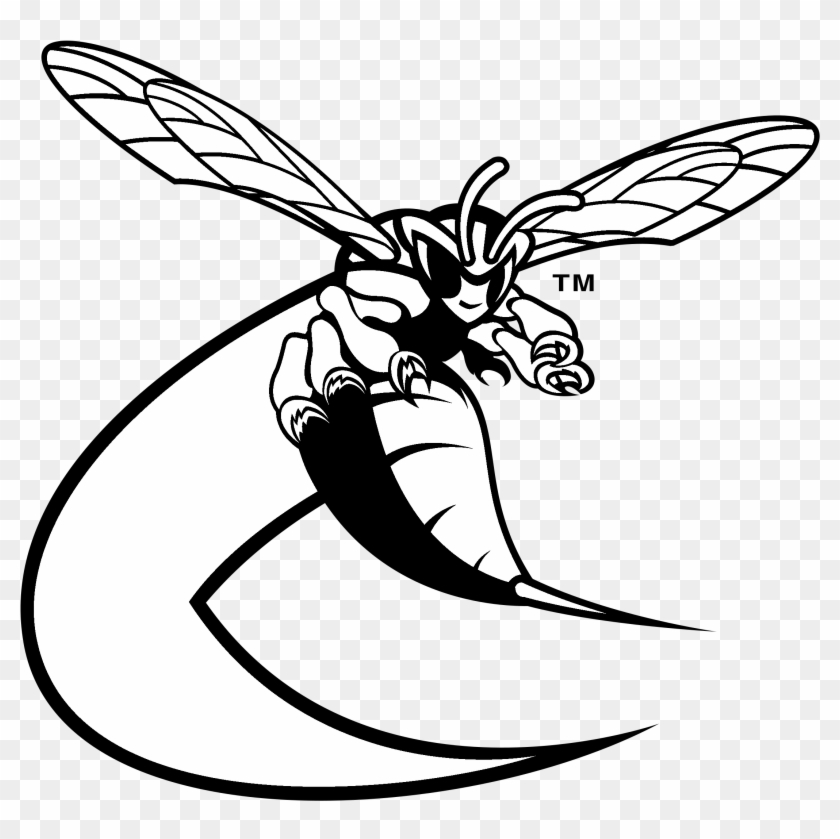 Delaware State Hornets Logo Black And White - Delaware State Hornets Football #1030302