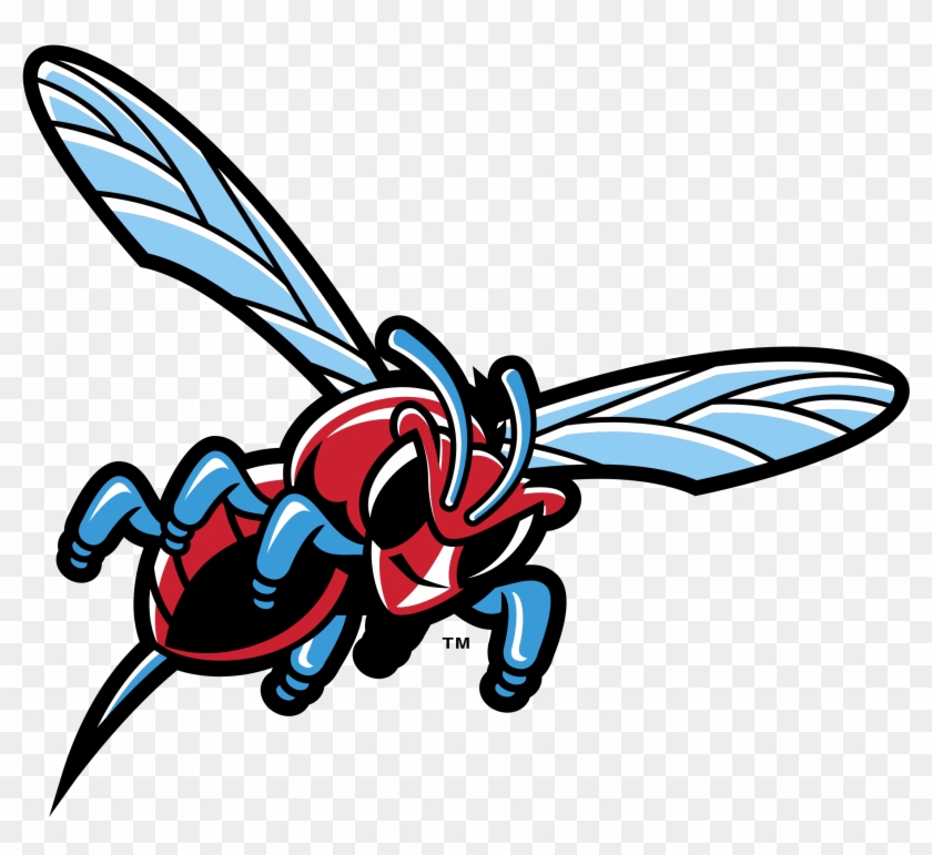 Delaware State Hornets Logo Black And White - Delaware State University Hornet #1030307