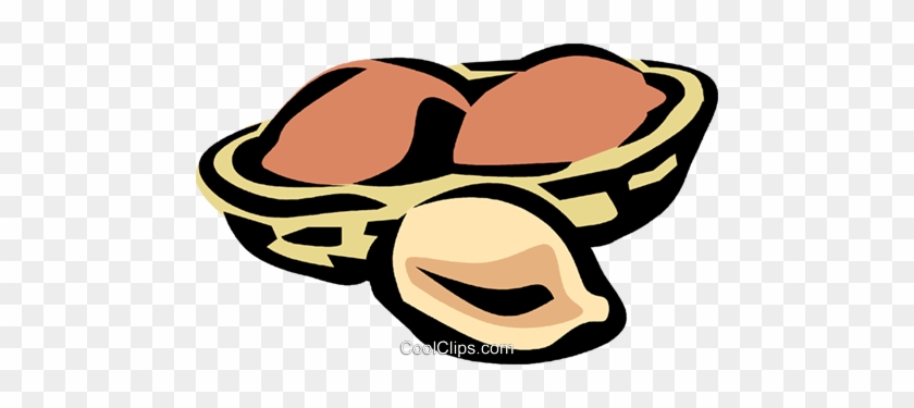Peanut In Half Shell Royalty Free Vector Clip Art Illustration - Model Reuse Strategies: Can Requirements Drive Reuse #1030593