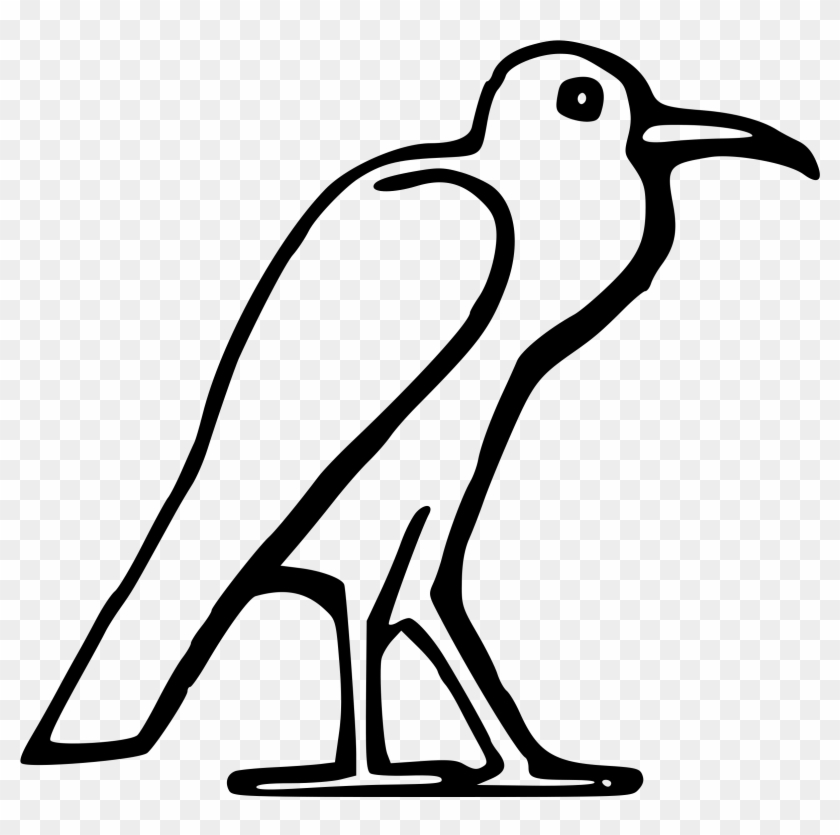 Bird Clipart Leg - Egyptian Bird #1030747