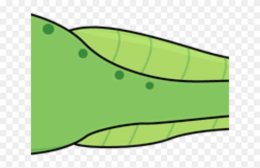 Tadpole Clipart Hind Leg - Tadpole Clipart Hind Leg #1030925