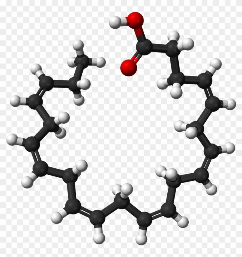 File - Docosahexaenoic Ac - Docosahexaenoic Acid #1031173