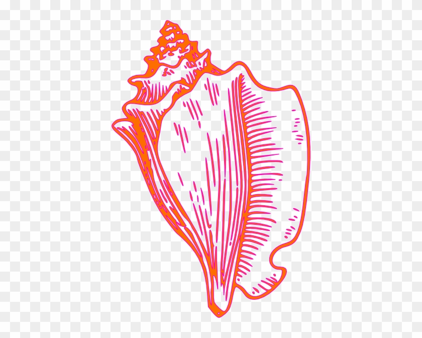 Pink Yellow Conch Shell 2 Clip Art At Bclipart Com - Conch Shell Cartoon #1031339