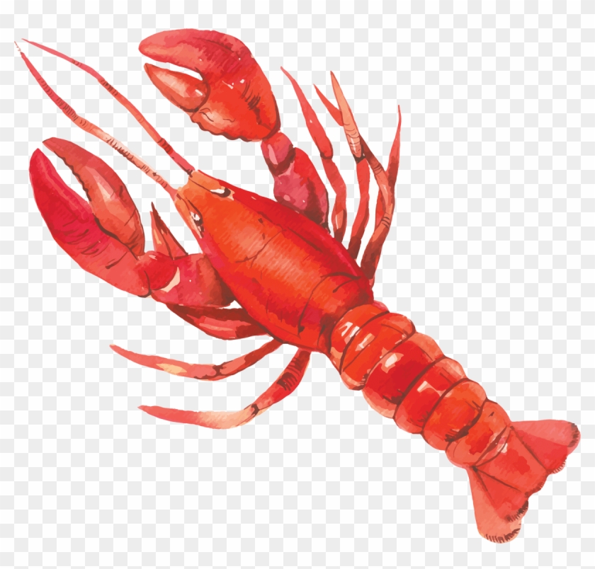 Watercolor Lobster #1031442