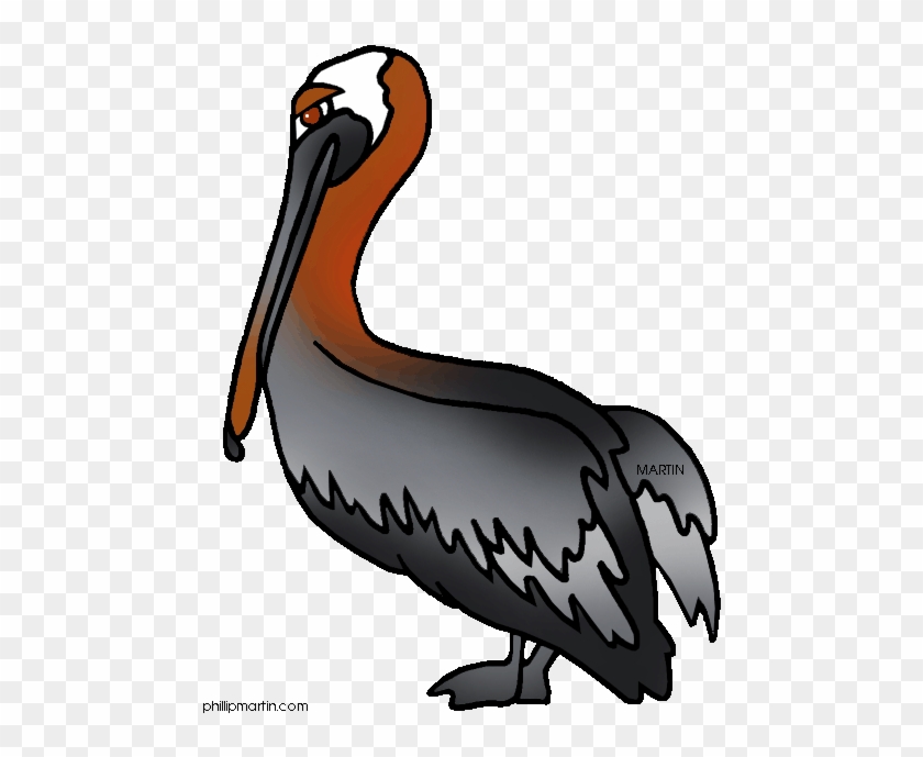 Louisiana Clipart Transparent - Louisiana State Brown Pelican #1031478