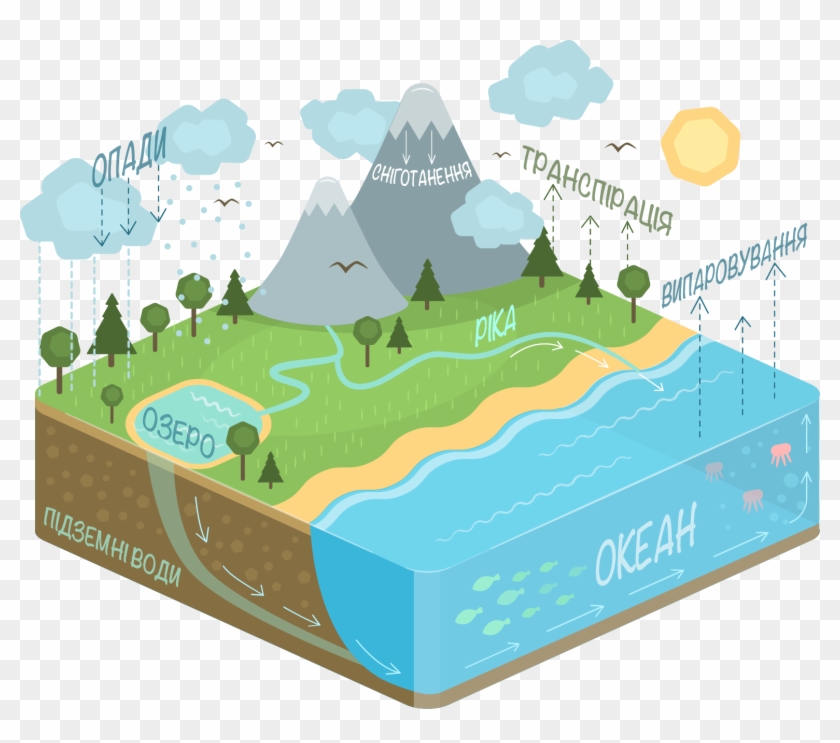 Diagrams Diagrams Best 15 Diagram Of Water Cycle Kids - Water Cycle Diagram Png #1031481