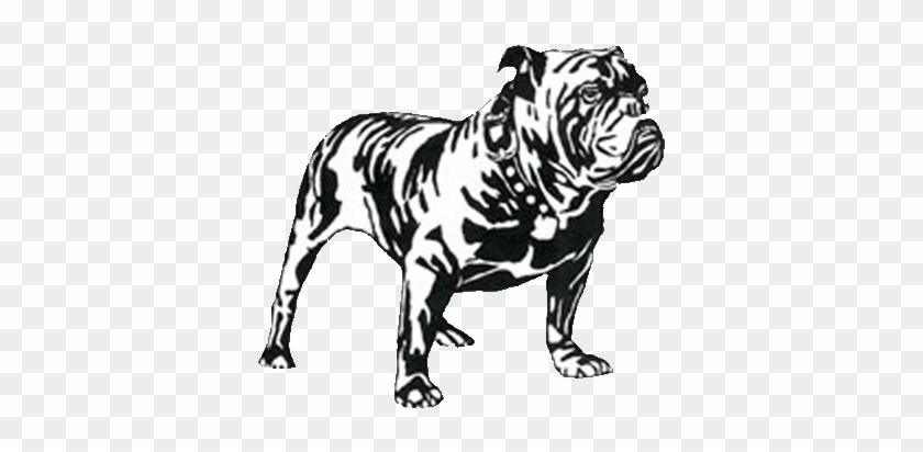 Mack Bulldog Clipart - Mack Bulldog Clip Art #1031659