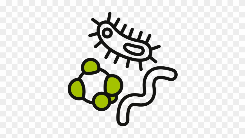 Food Born Microorganisms Will Start To Grow Immediately - Food Born Microorganisms Will Start To Grow Immediately #1031664