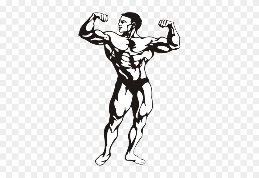 Bodybuilder Clipart #1031679