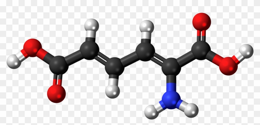 Metabolic Adaptation Of Endurance Athletes - Amine Compounds (chemical Compounds) #1031683