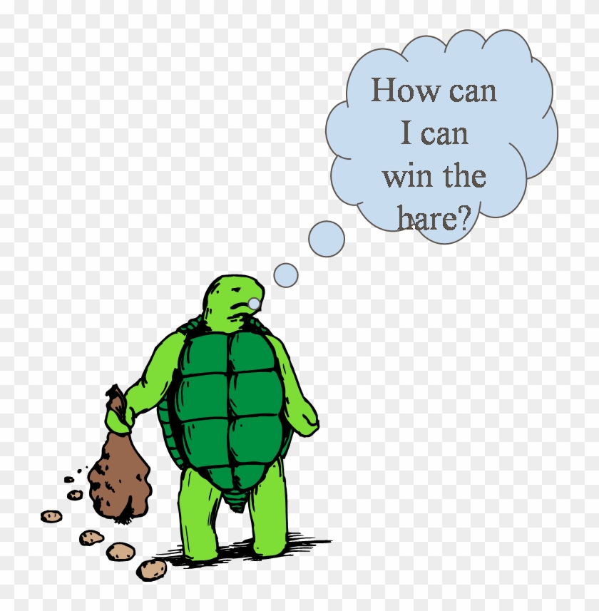 He Thought For A While, And Then Challenged The Hare - Tortoise #1031836