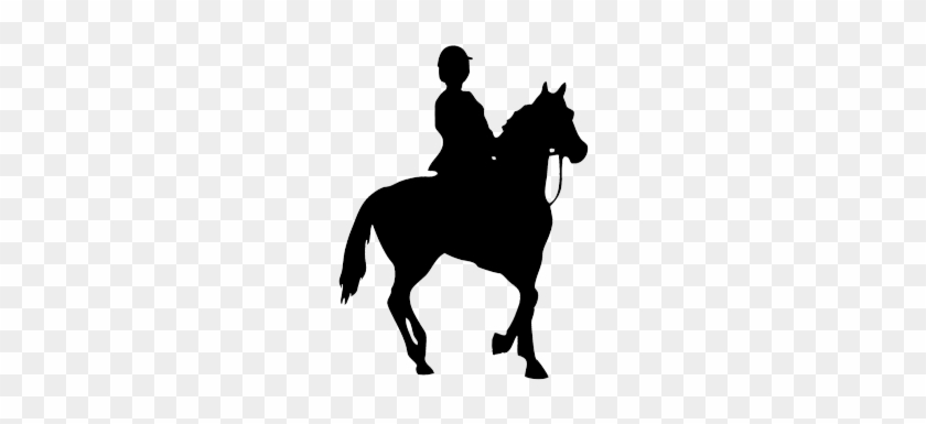Silhouette Of Foal, Black Silhouette Of Horse Rider - Calories Burnt Horse Riding #1032147